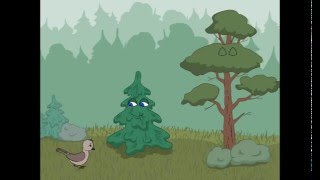 Почему сосна и ель вечно зеленые Почему сосна и ель вечно зеленые