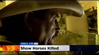 Man Mourns His 3 Show Horses Killed In Modesto Barn Fire