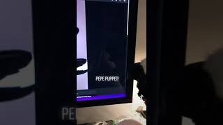 Pepe Puppet!