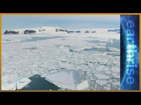 Vídeo: Mar de Weddell i les seves característiques