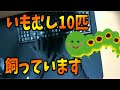 【実写】手はクリームパン 指は芋虫 晒さないで実写動画を録る方法があった -配信切り抜き-