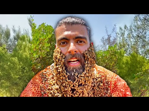 I Have A Beard Full Of Bees