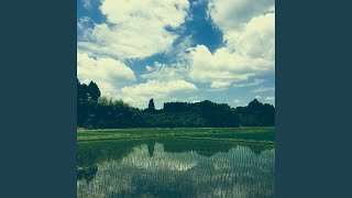 YACHIMATA_170714