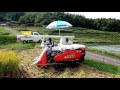 Amazing Combine Harvester little boys&girl operation.2016年稲刈りのお手伝い-翔(小学3年生)・桃(小学1年生)・龍(小学1年生)