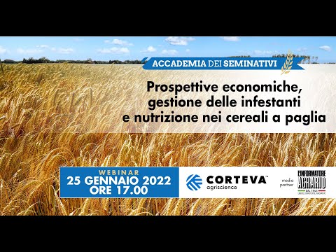 Prospettive economiche, gestione delle infestanti e nutrizione nei cereali a paglia