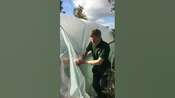 Polytunnel Building Day - Covering the tunnel