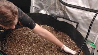 Grower Deacon Dave 100 gallon fabric pot sea of green grow....
