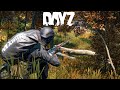 Нашли огромный схрон - DayZ