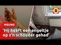 Man (19) ZESTIEN KEER met MES IN HOOFD GESTOKEN door buurman | Omroep Brabant image