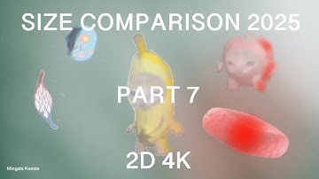 ABSOLUTE Size Comparison 2025 (Part 7) 4K 60FPS 2D