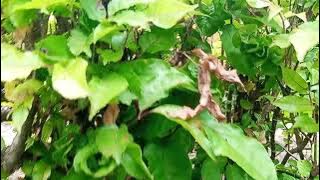 Antara Langit Biru dan Rumput Hijau, Ada Kedamaian Tersembunyi!