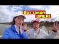 ВСЯ ПРАВДА. Минусы ПМЖ в Краснодарском крае. Переезд в Краснодар