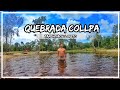QUEBRADA COLLPA / Tamshiyacu-Loreto🐵🌴