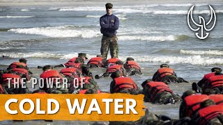 The Benefits of Cold Water and How to Get Started by Chris Sajnog 15,630 views 1 year ago 10 minutes, 44 seconds