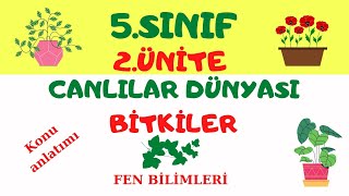 5. Sınıf Fen Bilimleri /Canlılar Dünyası: Bitkiler Konu Anlatımı