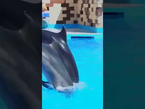السياحة في مدينة أكادير المغربية