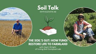 The Soil’s Gut | How Fungi Restore Life to Farmland with Zach Wright