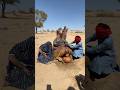 رجل وامرأة يواسيان جملا بالماء في حفرة طينية في حرارة الصحراء Desertlife Camellahomeoflifestyles