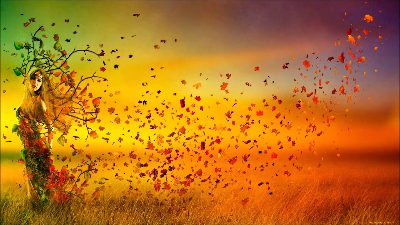 Ultimative Anleitung Eckhart Tolle (höheres Bewusstsein)