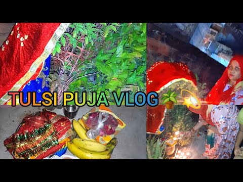 तुलसी पूजा vlog🙏💫🪴#tulsi #puja #vivah #tulsipuja #tulsivivah #vlog #jaimatadi #tulsiplant #pujavlog