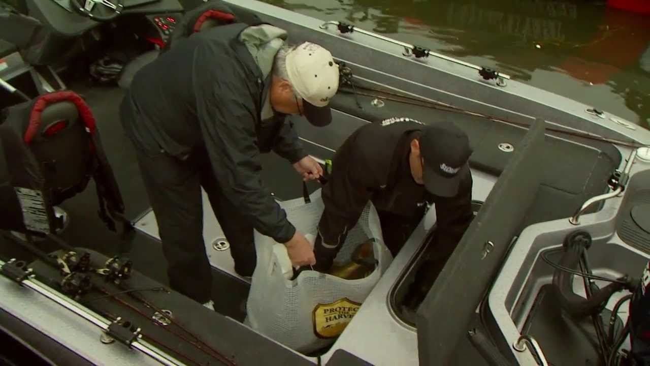 national walleye tour port clinton