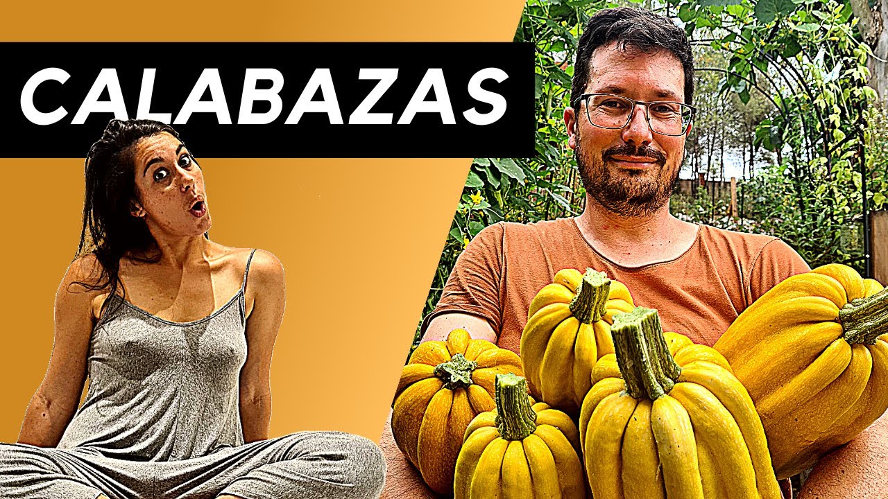 Cultivo de CALABAZAS | TIPOS de calabazas