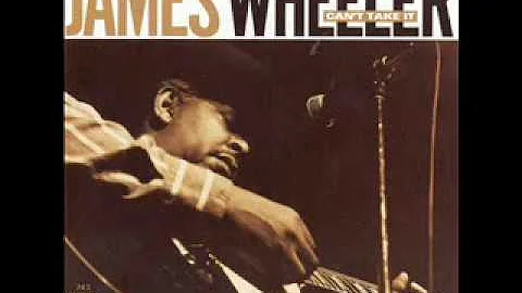 James Wheeler - Can't Take It (2000)