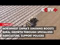 Northwest China's Xinjiang Boosts Rural Growth Through Specialized Agriculture, Support Policies