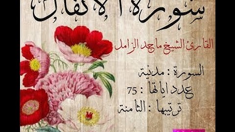 سورة الانفال تلاوة هادئة رواية الشيخ ماجد الزامل بجودة عالية | sourat alanfal - majid alzamil HD
