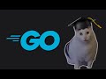 Finally Learning Go + Weekly Projects