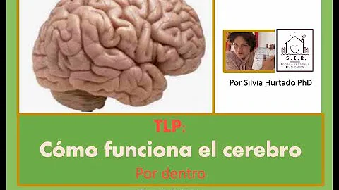 ¿Qué parte del cerebro está dañada en la TLP?