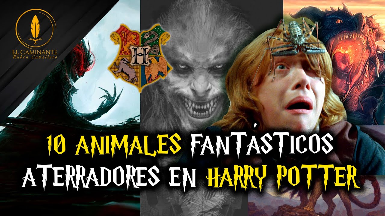Los 10 Animales Fantásticos más Aterradores en Harry Potter