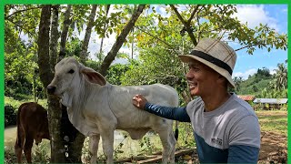 Kinuha NAPO AT HINATID NA NAMIN ANG ISANG ALAGA..HAPPY  NEW YEAR MGA KaProbinsya 💖 
