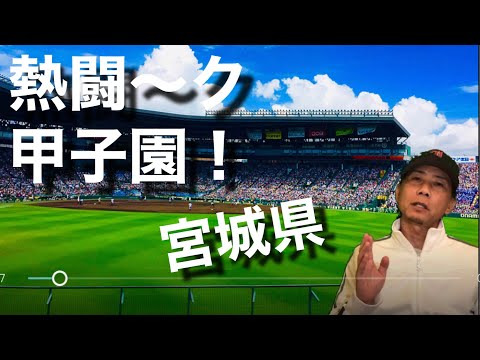 宮城 高校 野球 掲示板