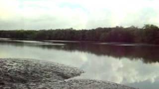 100_0915_xvid.avi