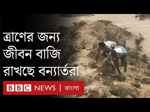 ভিডিও: যথেষ্ট পরিমাণ টাকা