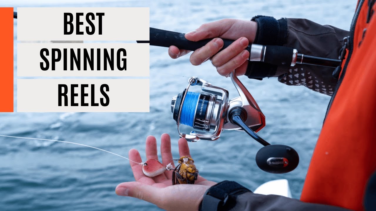 Best Spinning Reels 2024 - Tested by the experts 