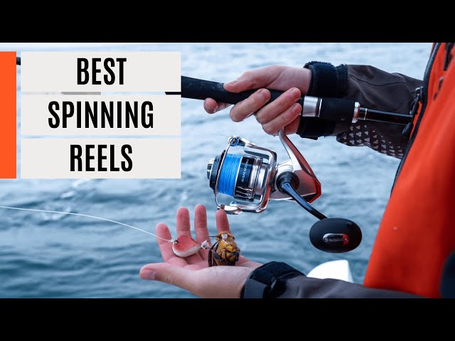 Best Spinning Reels 2024 - Tested by the experts 