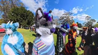 The Furry Community Comes Alive | Toowoomba Gathering