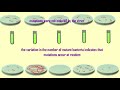 Cause of mutations luria  delbruck experiment