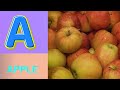 ABC Phonics Song | Alphabet letter sounds | ABC learning for toddlers | Education ABC Nursery Rhymes