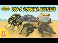 Top 5 Popular Reptiles Minisode Compilation - Leo the Wildlife Ranger | Animation | For Kids