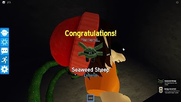 How to find Seaweed Sheep in Find the Sheep Roblox