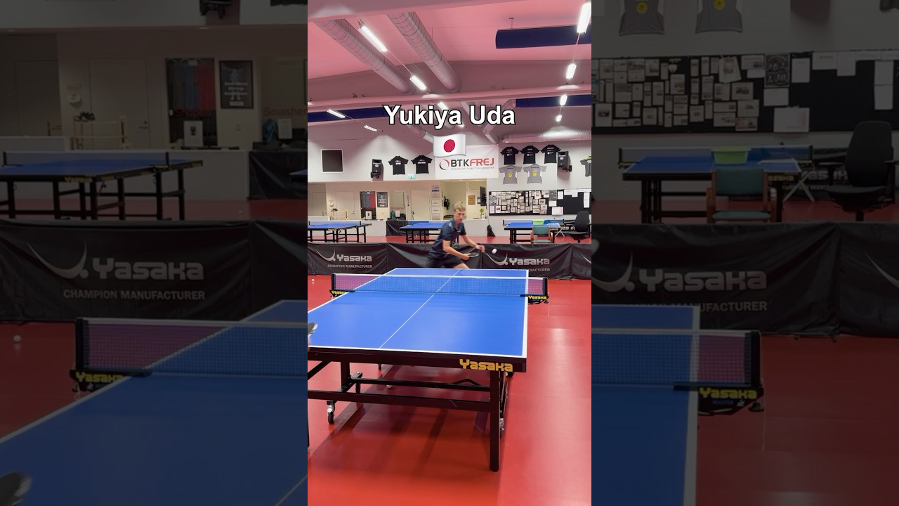 Different table tennis players