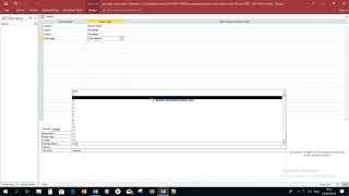 CALCULATED DATA TYPES IN  MS ACCESS