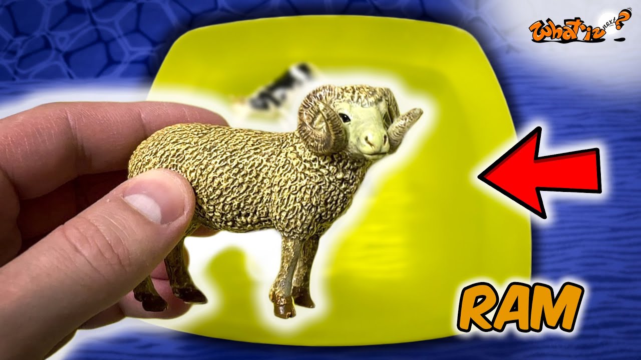 Баран, Кошка, Собака Учим домашних животных, любимцев и их звуки на английском