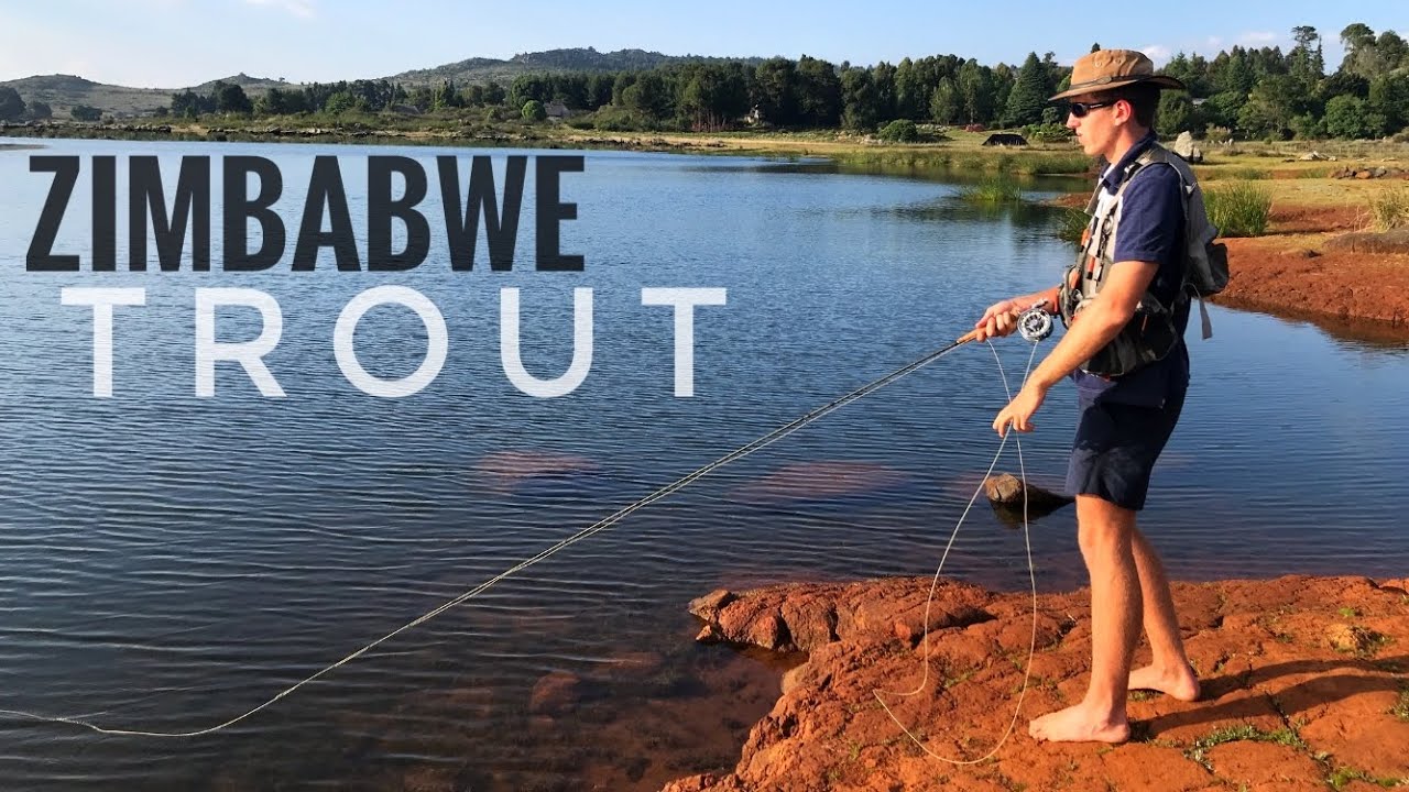 Fly fishing for Rainbow Trout in the Eastern Highlands of Zimbabwe