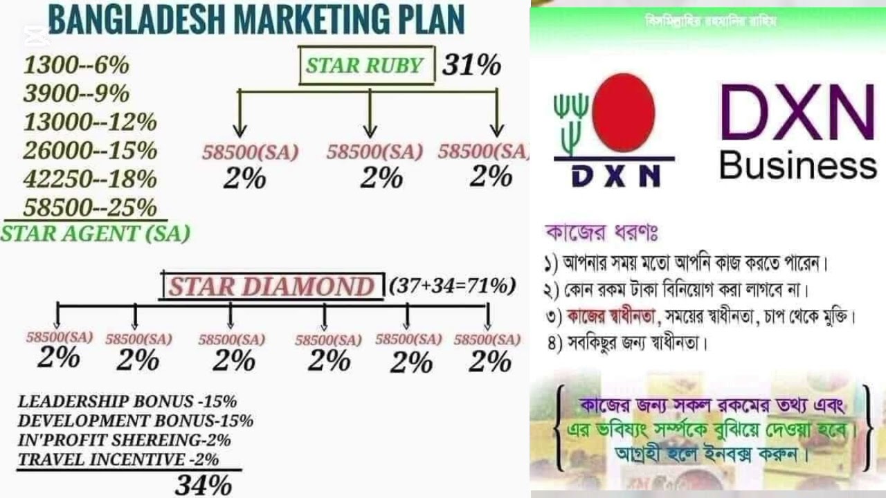 DXN Marketing Plan by Akram Hossain Anik (DD)