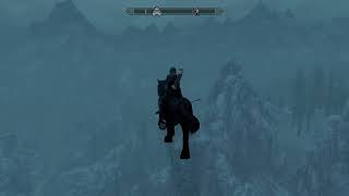 Skyrim bug