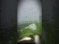 Raindrops on my window 🥀☔️ #indie #emo #midwestemo #indierock #alternativemusic #altindie #altrock